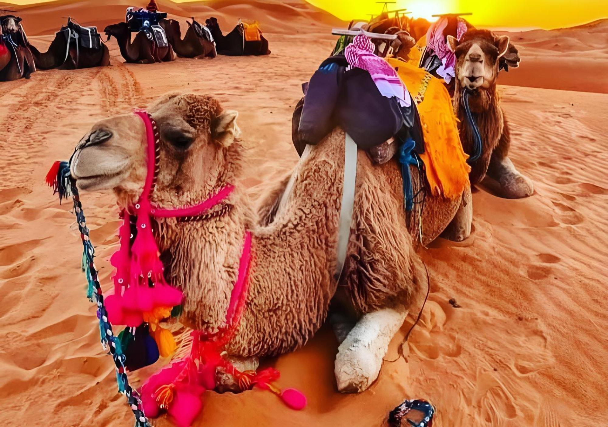 Merzouga Luxurious Tented Eksteriør bilde